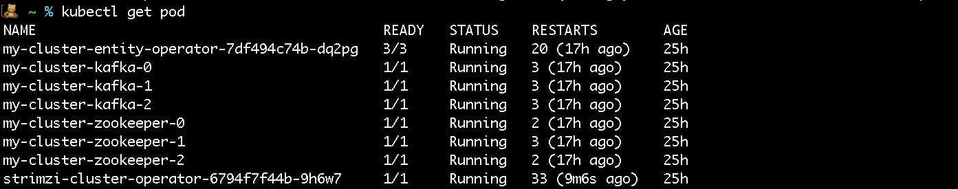 Output of running `kubectl get pod` showing multiple Kafka pods.